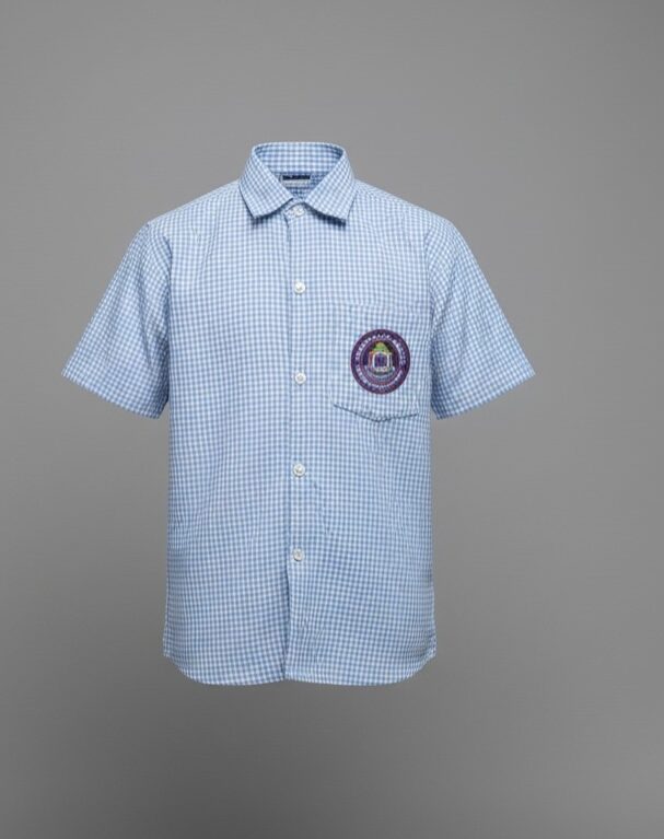 Light blue checkered shirt